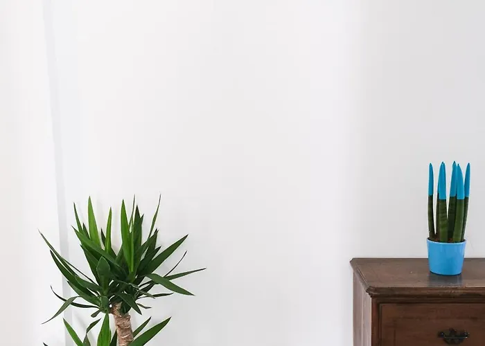 Il Centrale لا سبيتسْيا